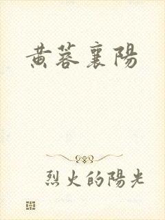 黄蓉襄阳