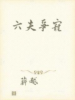 六夫争宠