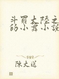 斗罗大陆之Y荡的小舞小说