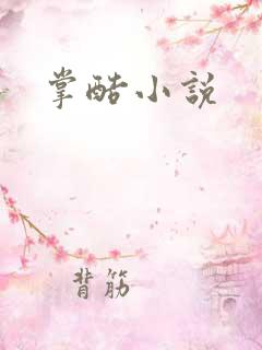 掌酷小说