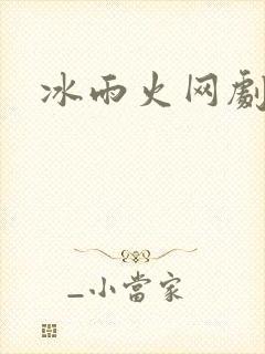 冰雨火网剧小说