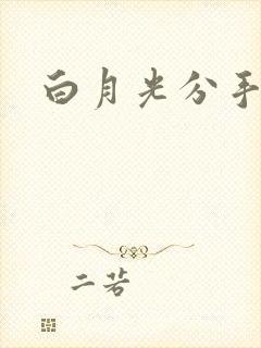白月光分手日常