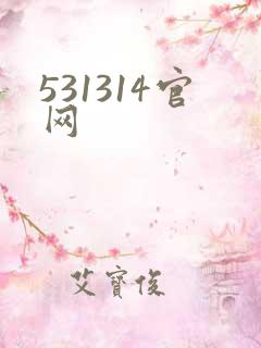 531314官网