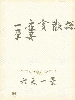 一夜贪欢总裁幸孕妻