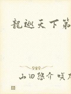 龙巡天下第四部