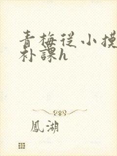 青梅从小摸到大补课h