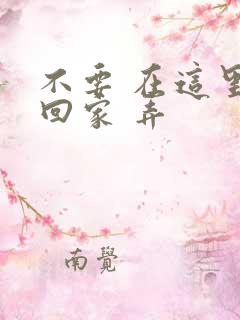 不要 在这里 回家 弄
