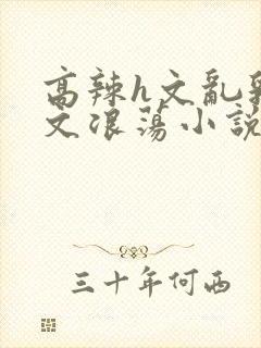 高辣h文乱乳h文浪荡小说txt