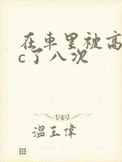 在车里被高潮被c了八次