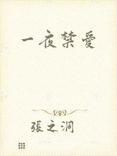 一夜禁爱