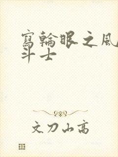 写轮眼之风流圣斗士