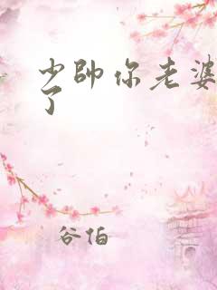 少帅你老婆又跑了