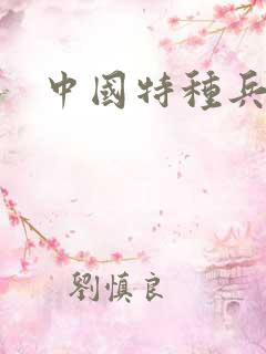 中国特种兵小说