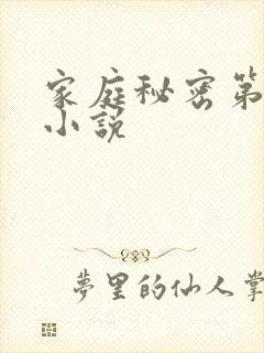 家庭秘密第3集小说