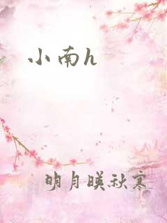 小南h