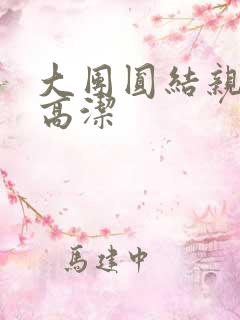 大团圆结亲情会高洁