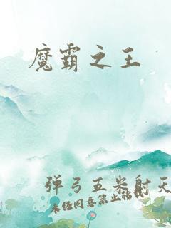 魔霸之王