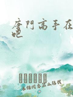 唐门高手在异世吧