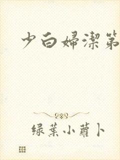 少白妇洁第二部