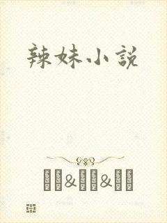辣妹小说