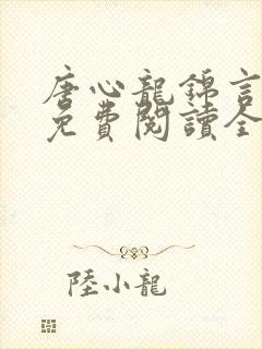 唐心龙锦言小说免费阅读全文