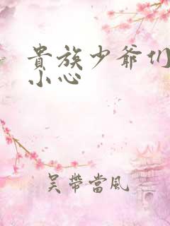 贵族少爷们 请小心