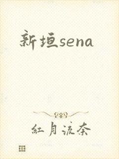 新垣sena