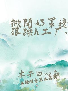 掀开奶罩边躁狠狠躁h工厂小说