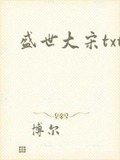 盛世大宋txt
