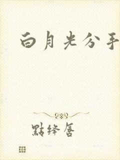 白月光分手日常