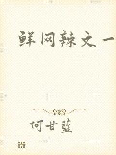 鲜网辣文一对一