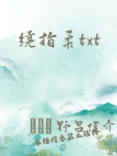 绕指柔txt
