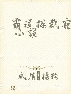 霸道总裁宠上天 小说