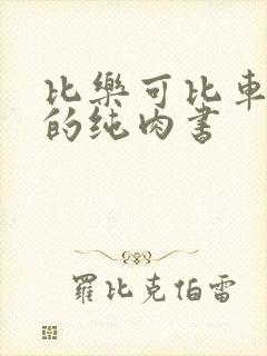 比乐可比车速快的纯肉书