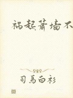 祸起萧墙不知戢