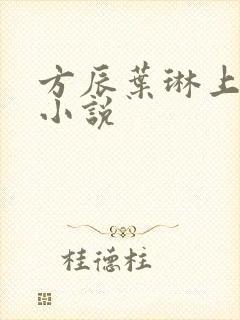 方辰叶琳上官步小说