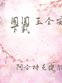 团圆 王全安 下载