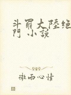 斗罗大陆绝世唐门 小说