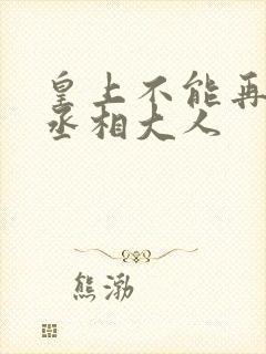 皇上不能再进了丞相大人