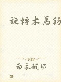 旋转木马的鏖战