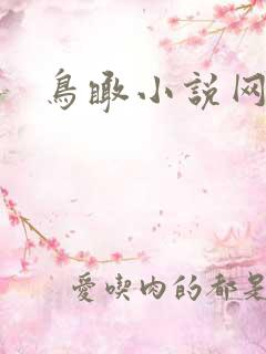 鸟瞰小说网