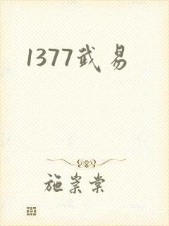 1377武易