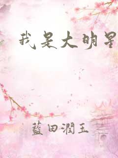 我是大明星周天