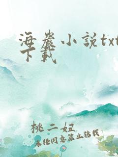 海岩小说txt下载