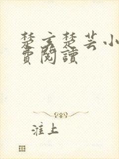 楚玄楚芸小说免费阅读