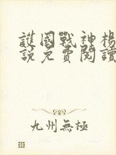 护国战神杨风小说免费阅读