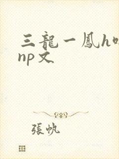 三龙一凤h啪肉np文