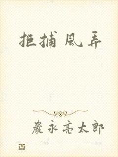 拒捕 风弄