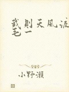 武则天风流艳情毛一