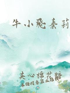 牛小飞秦莉莉